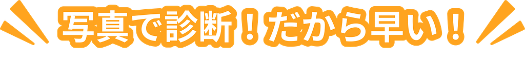 写真で診断！だから早い！